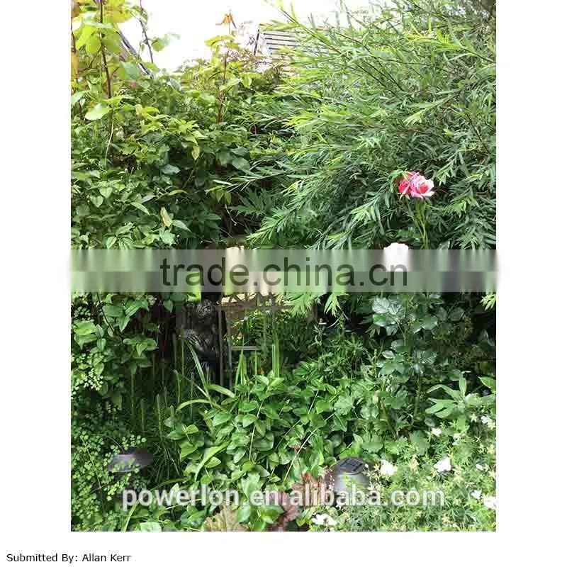 Strong Metal Frame Round Arch Garden Mirror