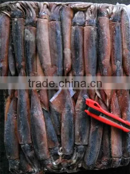 W/R Frozen Squid Argentina Illex Squid For Wholesale