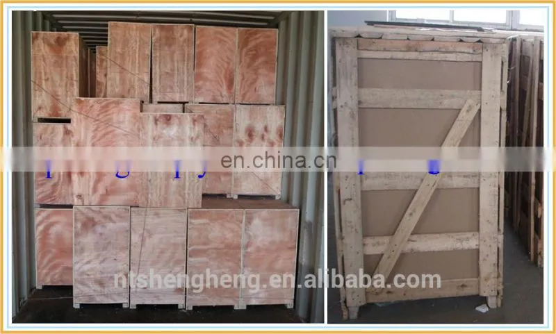 Commercial bakery chicken10l industrial electric food mixer