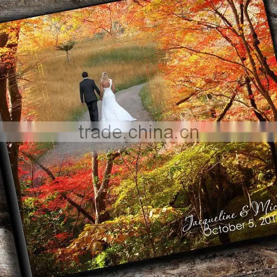self-adhesive paper photo album