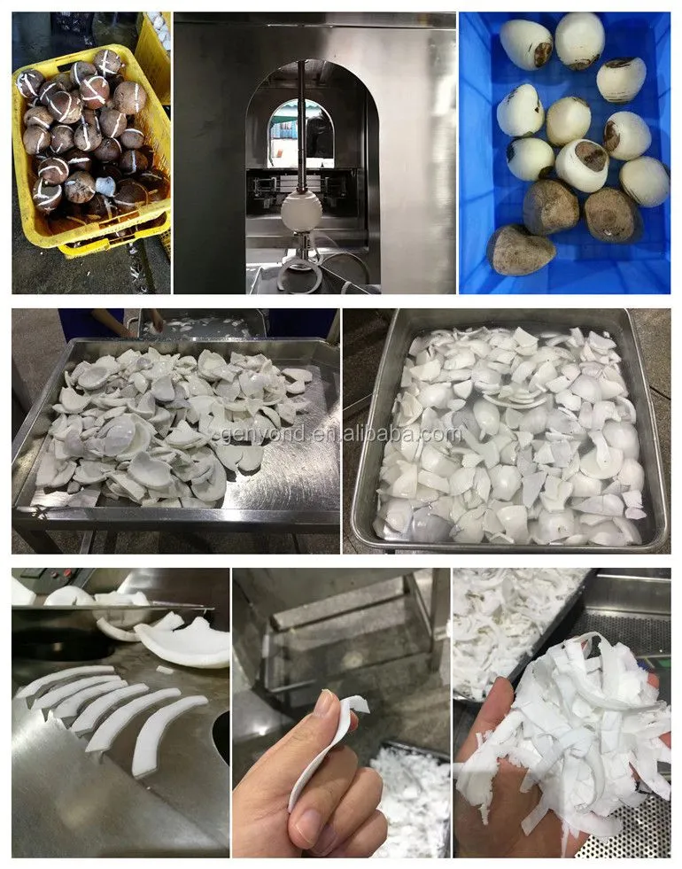High Speed Coconut Cream Processing Machine