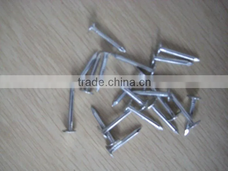 galvanized coated broad head nails