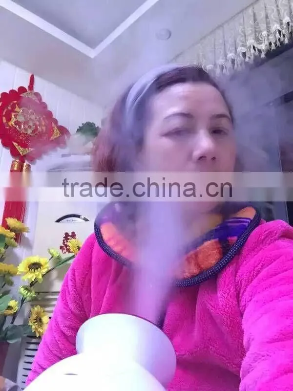 Nano-Ionic personal facial steamer
