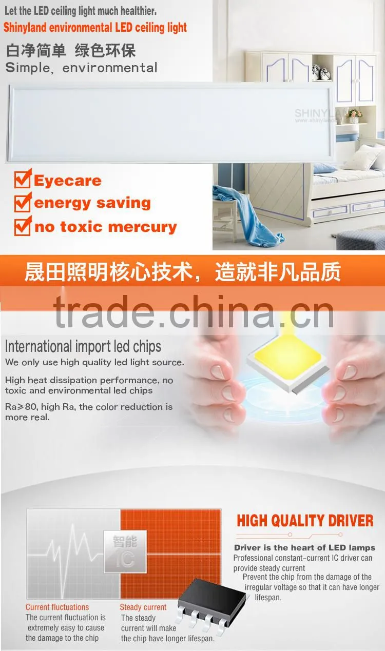Netherland wanted high quality 300 1200mm led panel lights with high quality