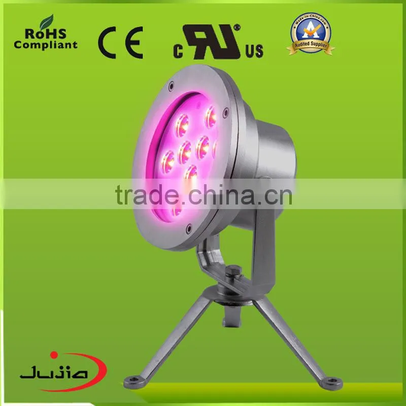 DC12-24V LED Pool Lamp, Swming underwater led pool lighting / IP68 led pool light