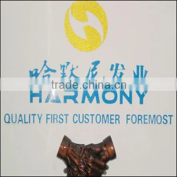 Quality hairdressing salon hair clips/hair dressing clips/salon hair clips