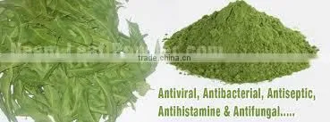 Neem Leaf Powder