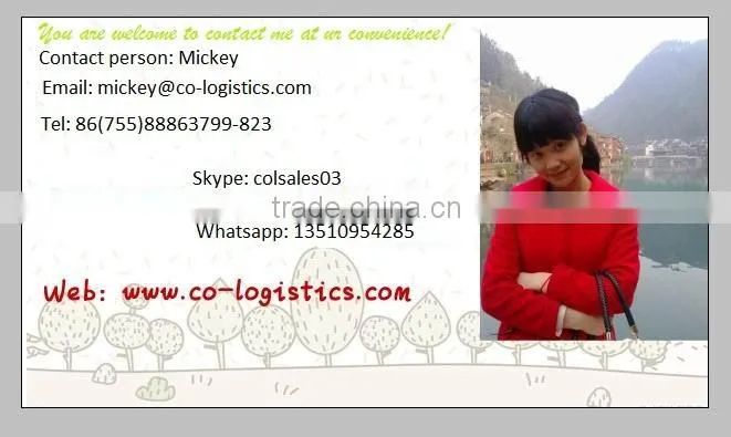 Best Express shipping from China to Libya with tracking service-Mickey's skype: colsales03