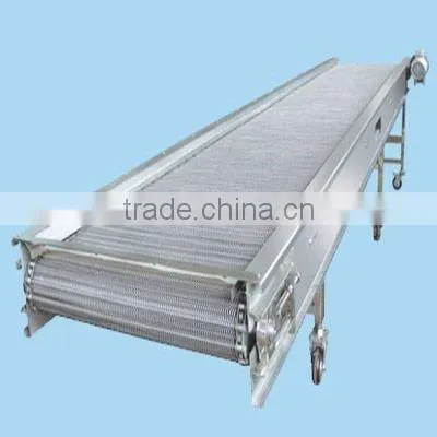 conveyor for conveying foods