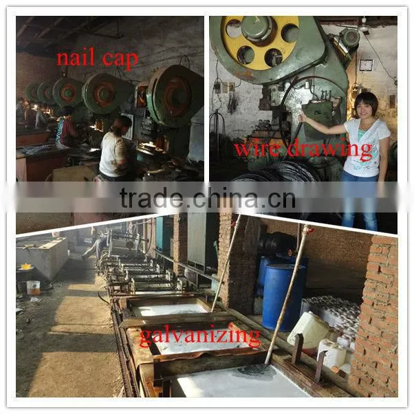 galvanized ring shank roofing nail with umbrella head