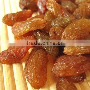 raisins producers