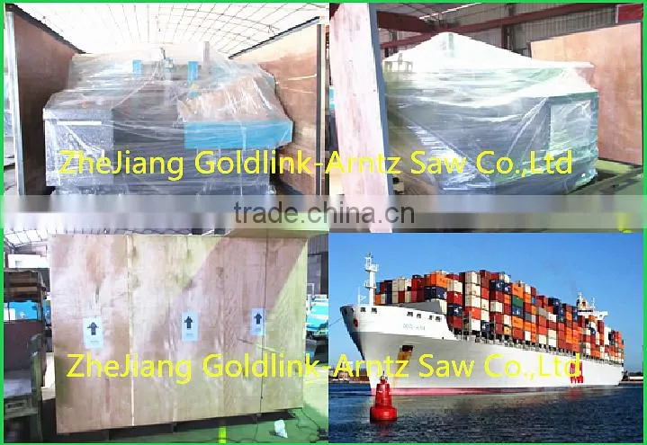 Goldlink vertical type band sawing machine
