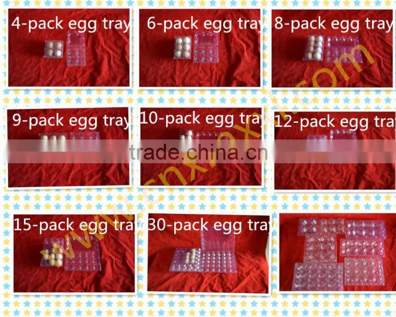 Hot selling ampoule plastic blister tray