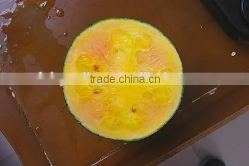 Hybrid F1 red yellow flesh rainbow melon treasure seeds High grade gift watermelon seeds for planting