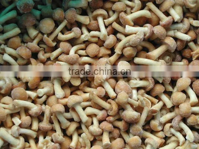 Chinese IQF nameko