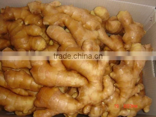 Organic fresh ginger