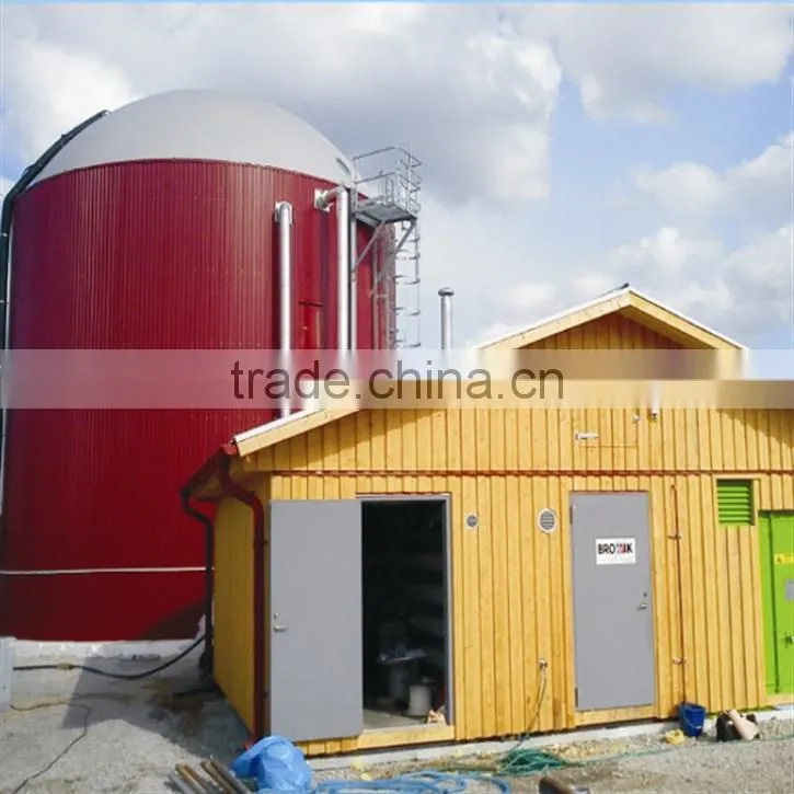 Biomass power plant
