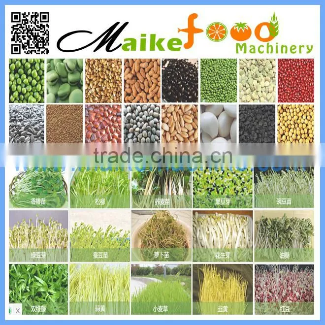automatic soybean sprouts making machine