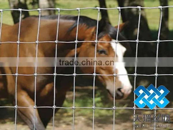 High Zinc Grassland Fence/Cattle Fence ( Factory)