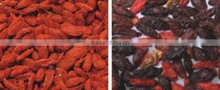 Agriculture Grading Equipment Wolfberry Color Sorter