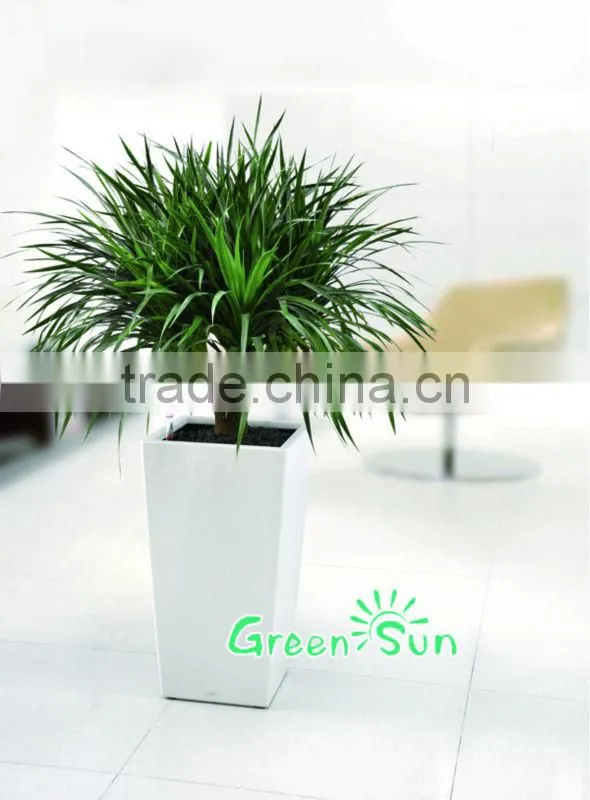 plastic pots for nursery plant