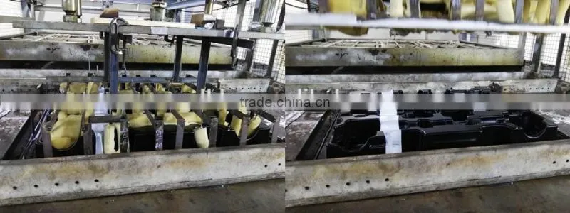 PET thick blister packaging,vacuum thermoforming,OEM design