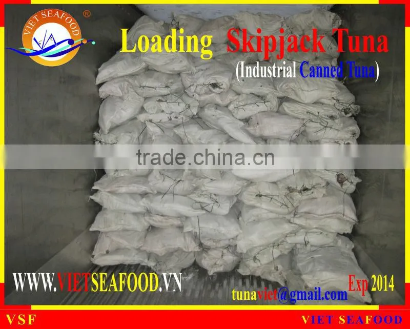 LOADING FROZEN SKIPJACK TUNA W/R