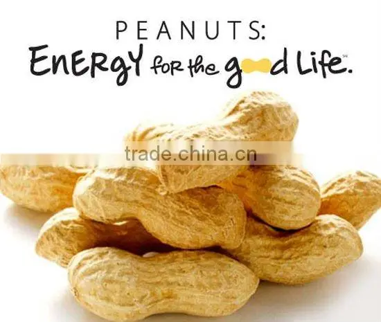 peanuts packets filling and sealing machine