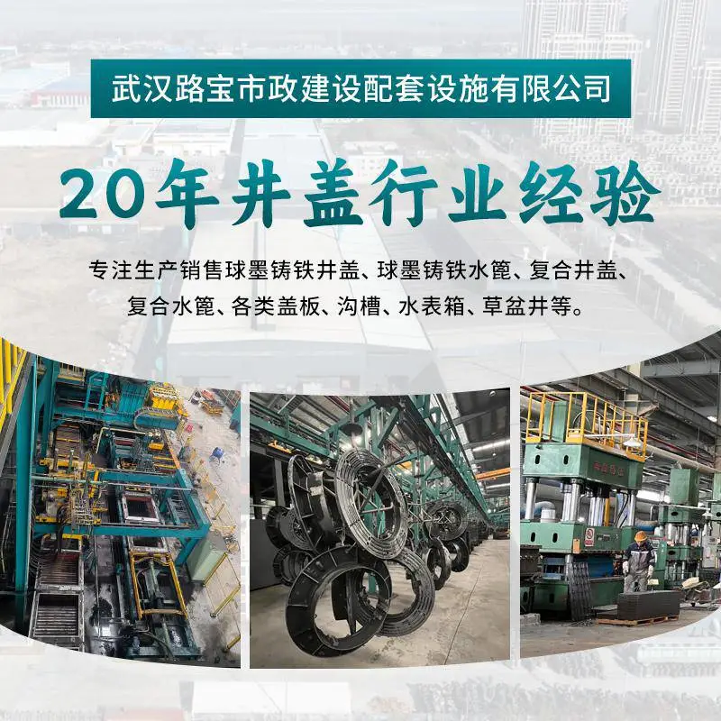 Wuhan Lubao Municipal Construction Supporting Facilities Co., Ltd. company overview - view 1