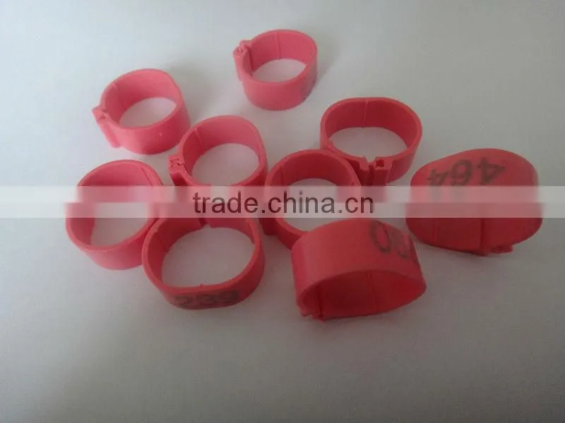 small plastic leg rings to distinguish chicken or birds