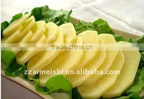 Aluminium multi-purposes vegetable and fruit cutter