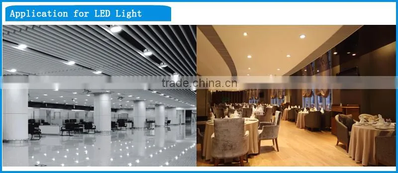2015 Housing Down Led Light