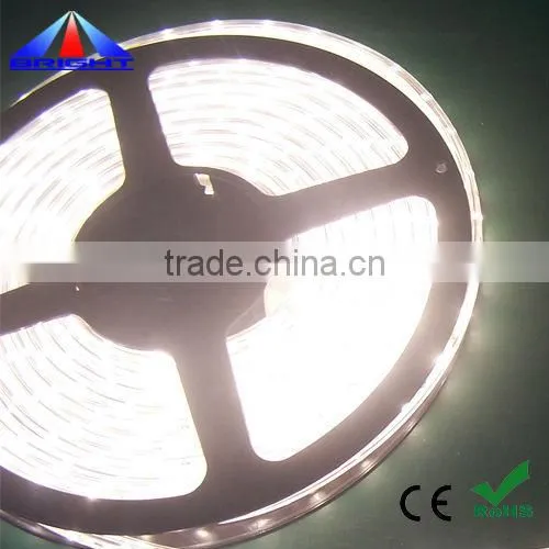 12V 3014 LED Strip IP68 PU glue waterproof