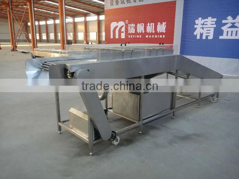 Date washing machine