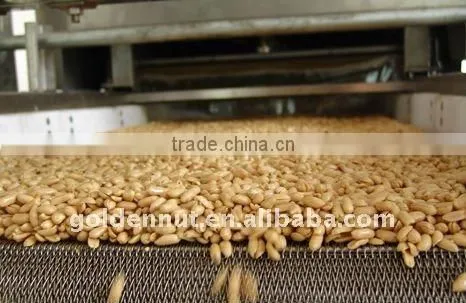 Peanut frying machine