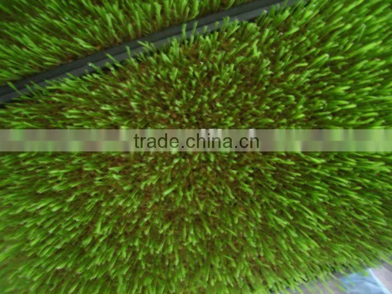 Bean /Wheat/Barley Seedling Machine/Animal Fodder Machine