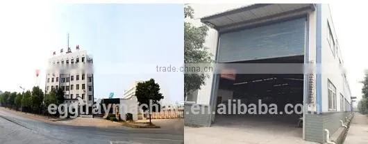 fiber molding made in China paper making machine egg tray carton 2700 pcs/hour