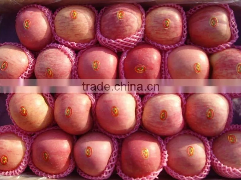 bulk fresh fuji apple2012