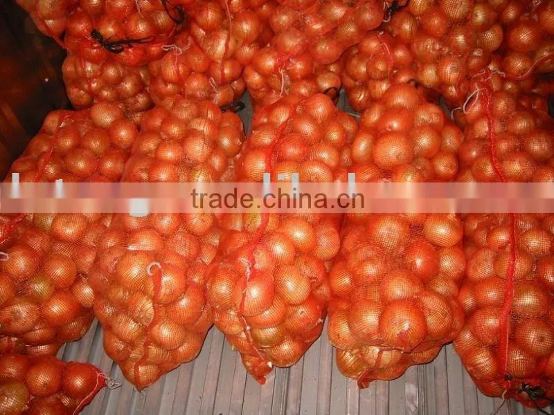 Fresh Onion Export to Dubai