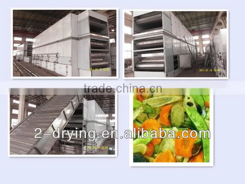 Vegetable drier-ZL 99 2 29732. X.