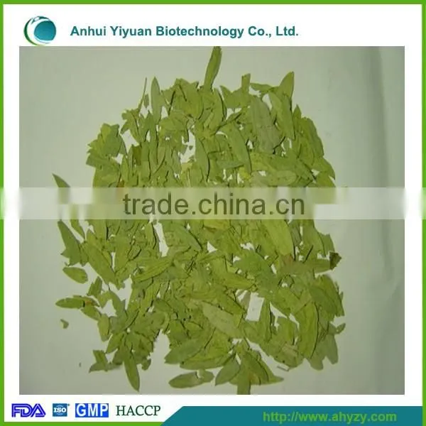 Supply high quality dried Folium Senna leaf( Fan xie ye)