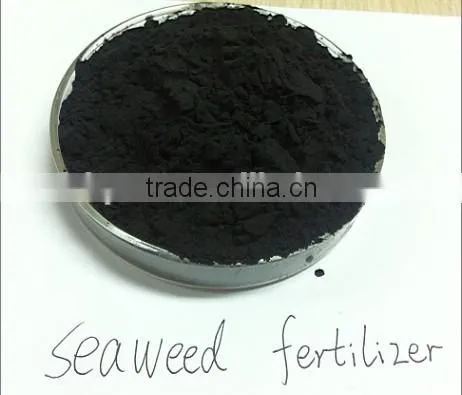 seaweed extract powder fertilizer,, seaweed fertilzer,black fertilizer in China