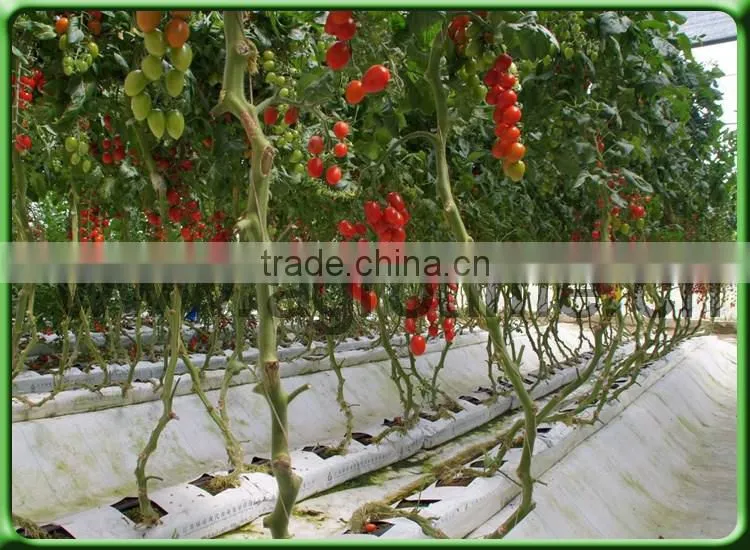 Indoor hydroponics growing system