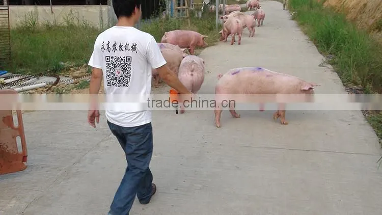 Yonggao Farming Best Quality CE Certification Electric Cattle Stock Proders