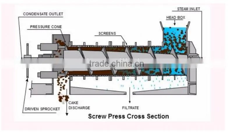 Mustard sunflower groundnut seed oil expeller fully automatic mustard seed screw oil press machine