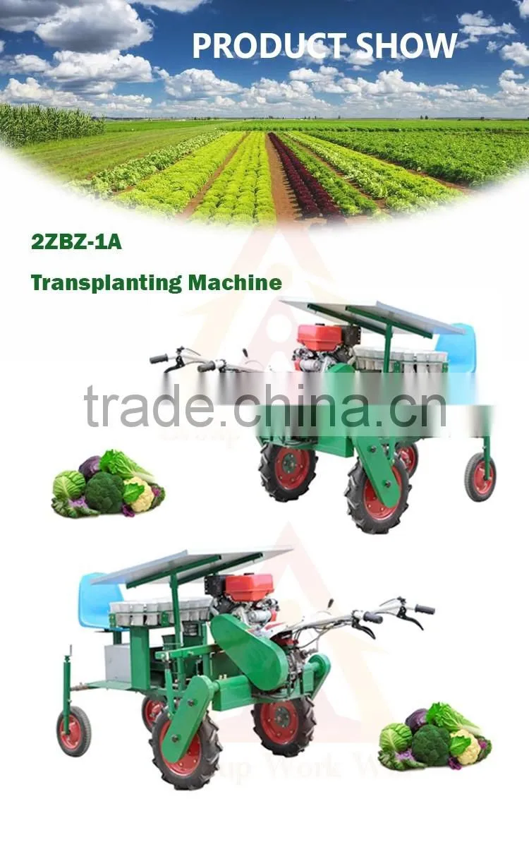 Chinese manual seeder machine