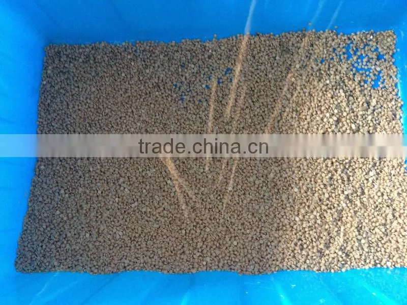 Food grade wax pastillator
