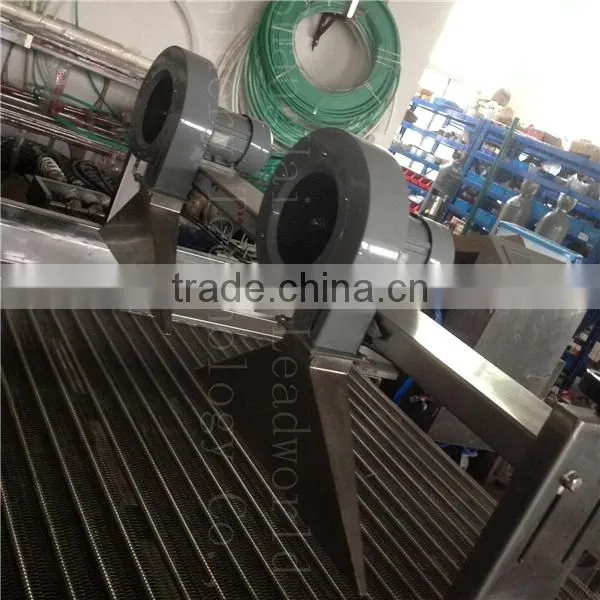 Commercial Fruit Drying Machine / Fruit Mesh Belt Dryer