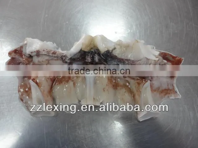 frozen giant squid neck