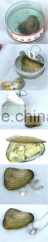 Nature love pearl gift (ocean pearl (red, pink, purple, blue, yellow) English and French version)